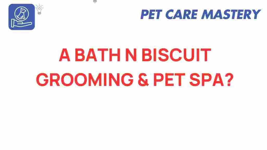 discover-bath-n-biscuit-grooming-pet-spa