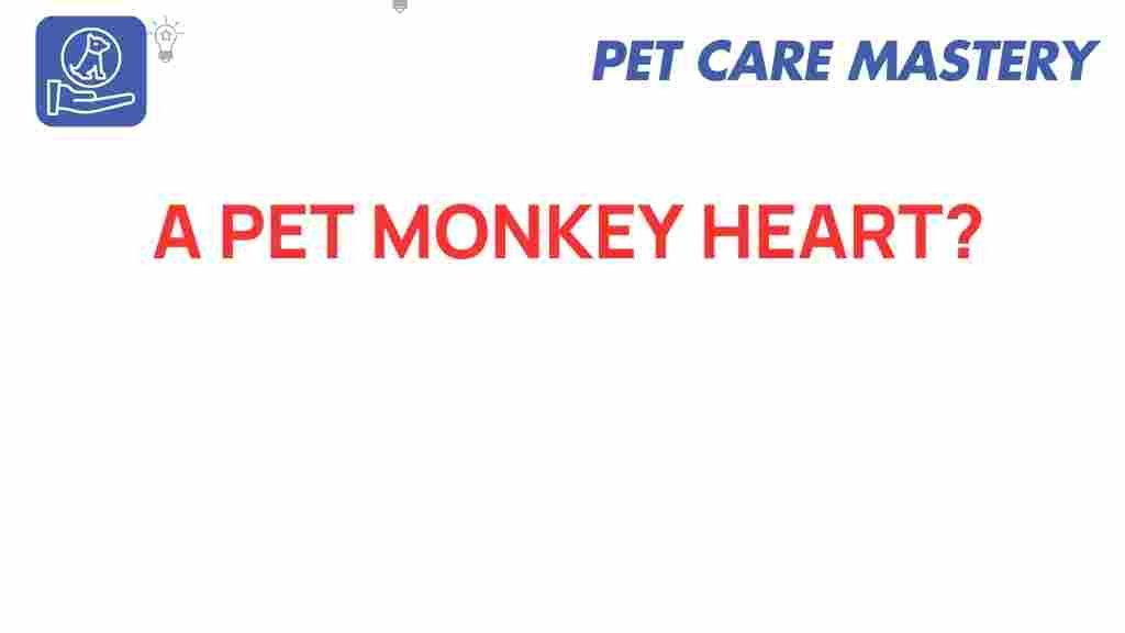 pet-monkeys-heartfelt-trend