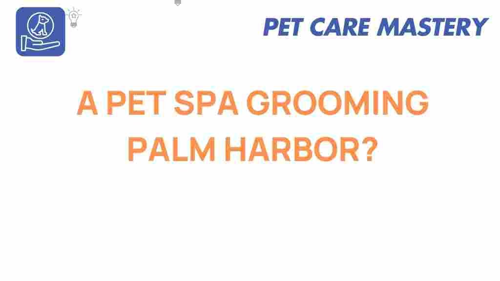 pet-grooming-palm-harbor