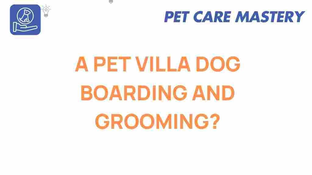 dog-boarding-pet-villa