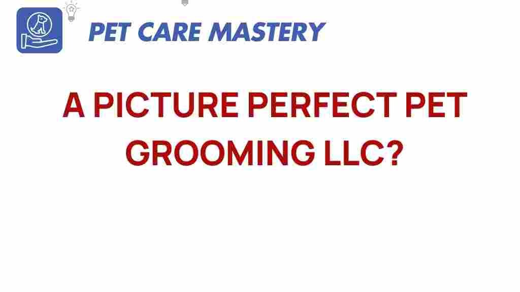 picture-perfect-pet-grooming