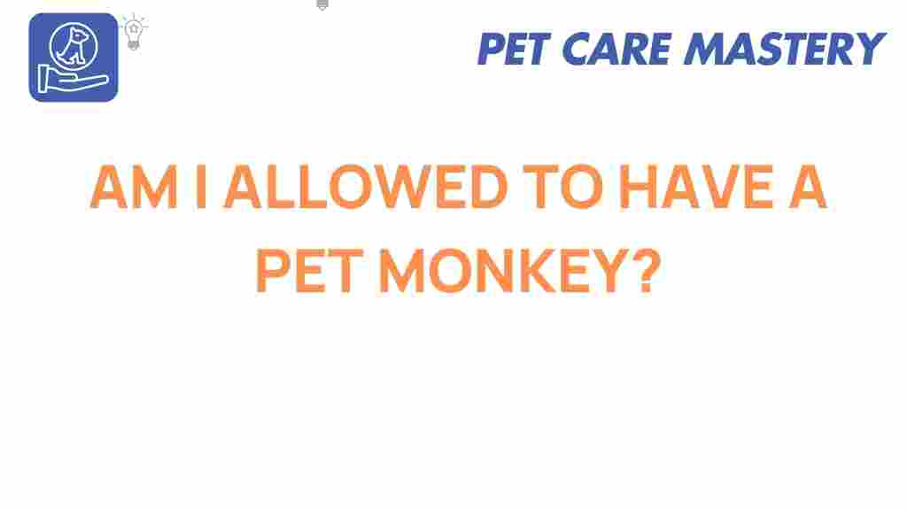 pet-monkey-ownership