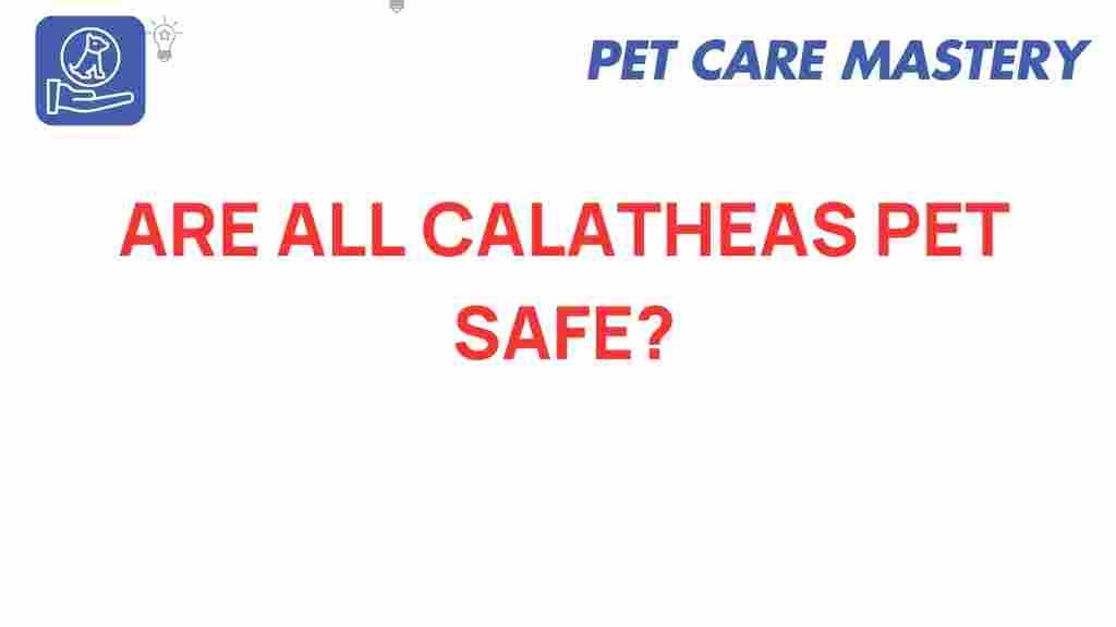 calatheas-pet-safe