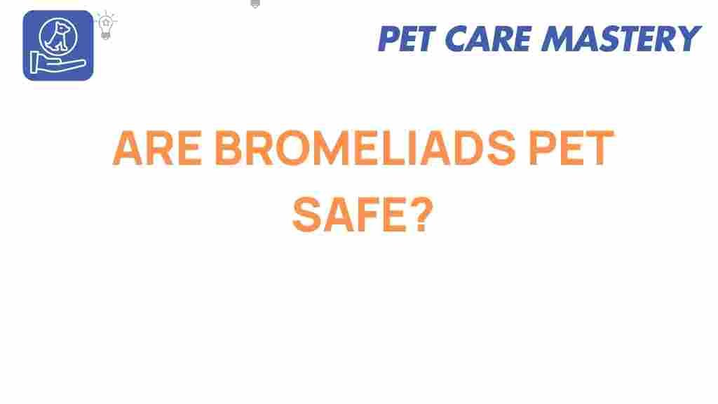 are-bromeliads-pet-safe
