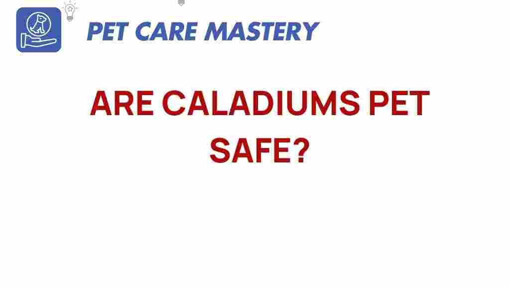 caladiums-pet-safe