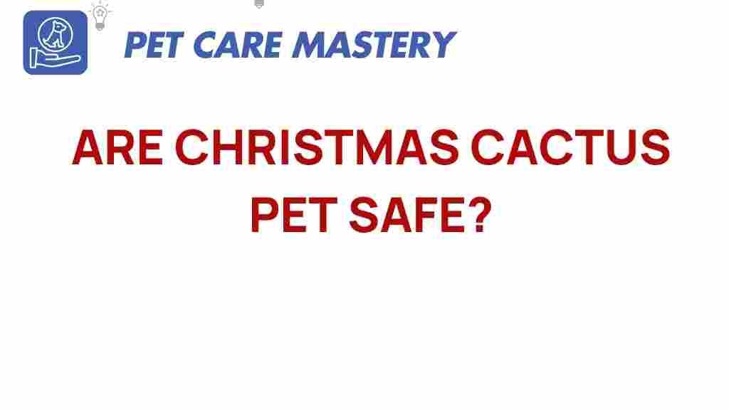 christmas-cactus-pet-safe