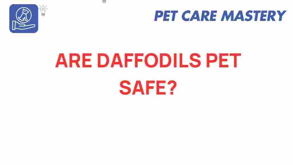 daffodils-pet-safe