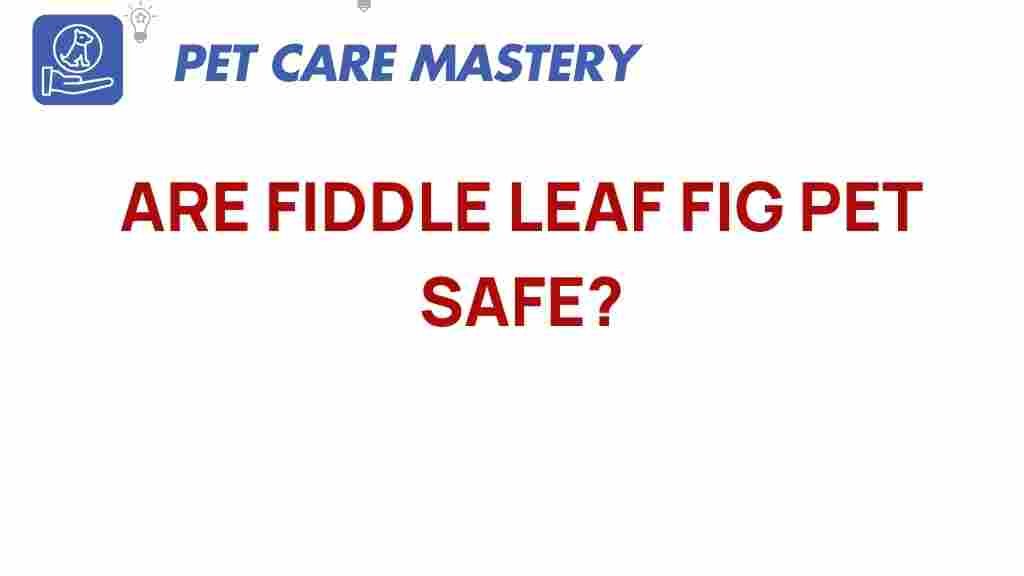 fiddle-leaf-fig-pet-safe