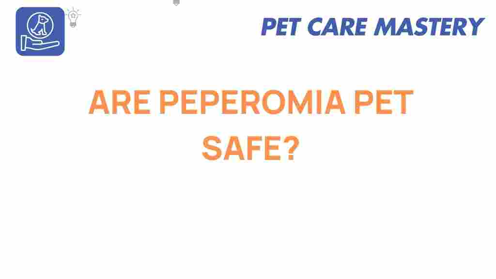 peperomia-pet-safe