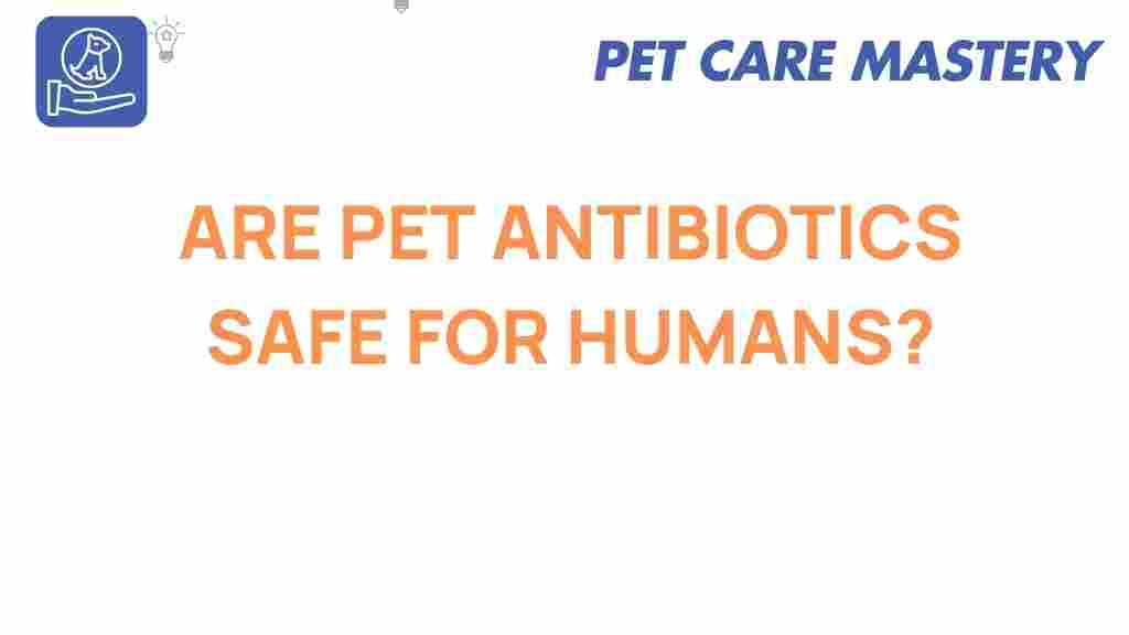 pet-antibiotics-human-safety