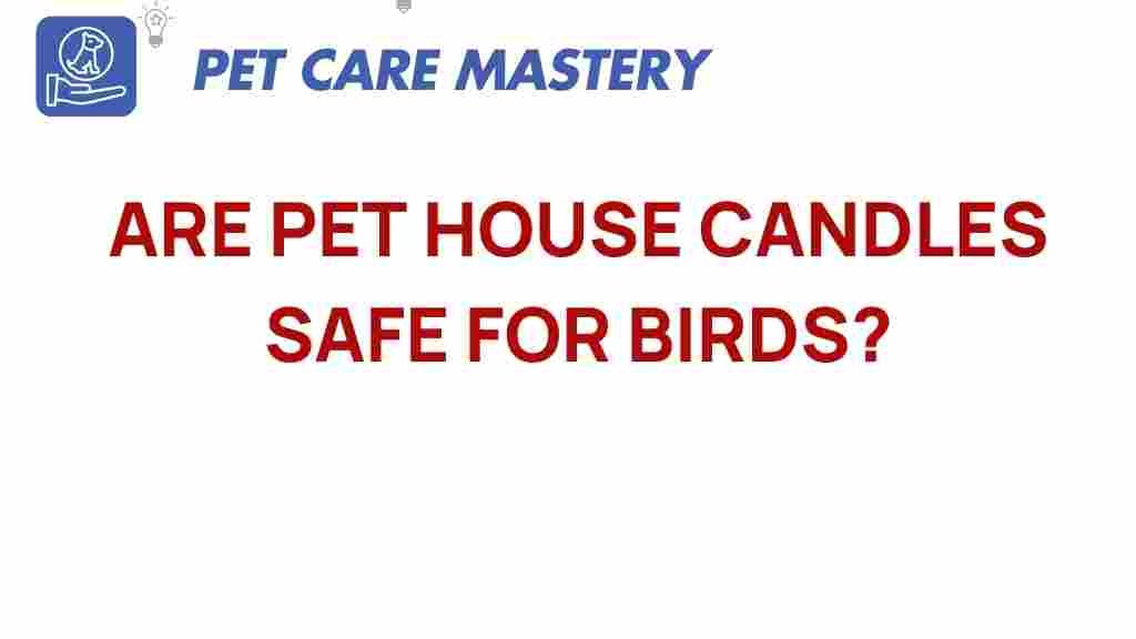 pet-house-candles-safe-for-birds