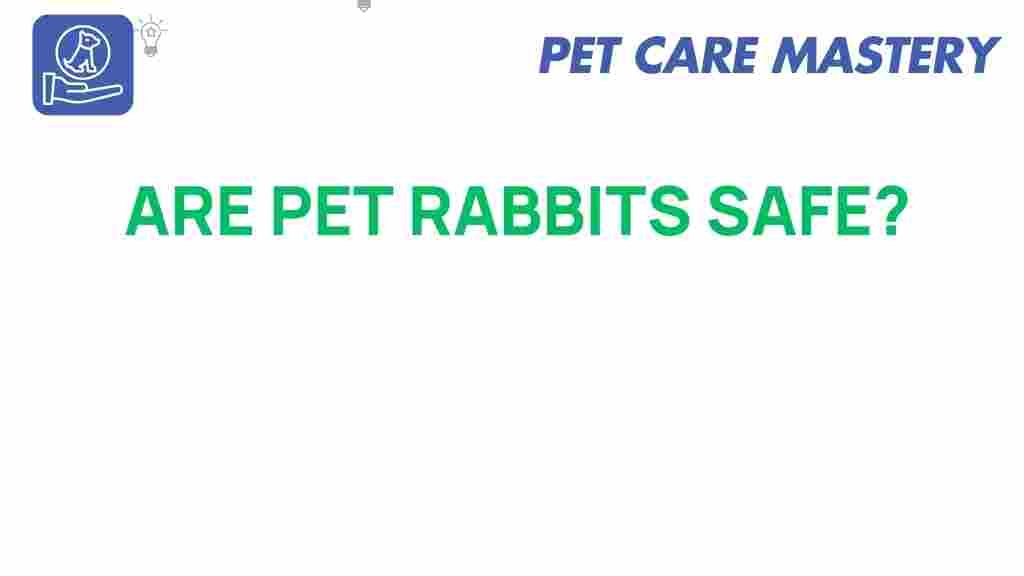 pet-rabbits-safety