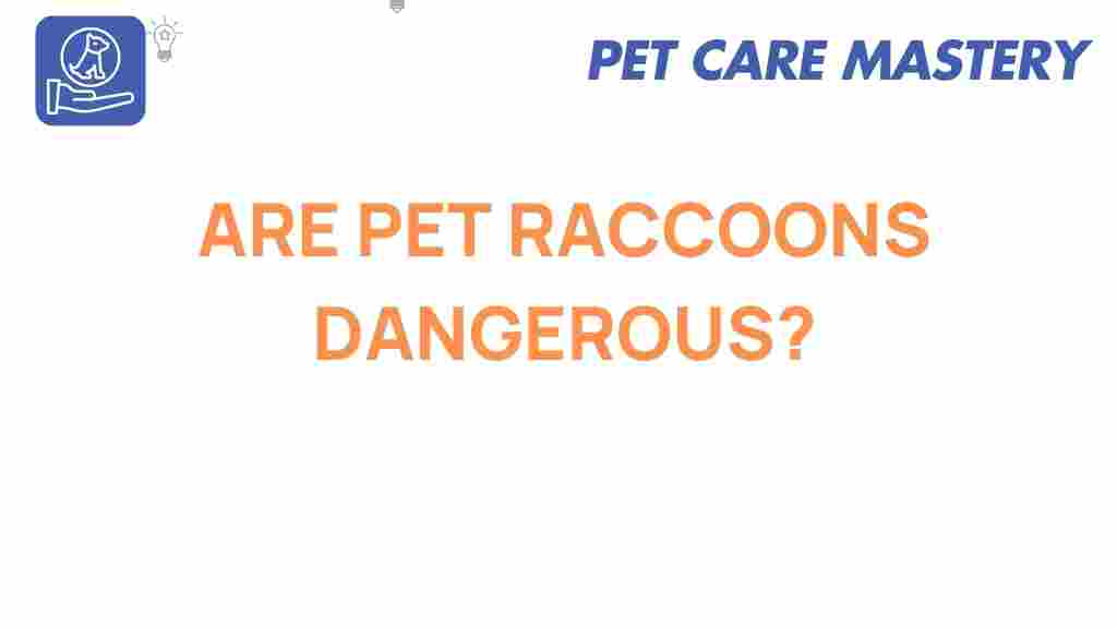 pet-raccoons-danger
