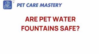 Are Pet Water Fountains Safe? Unveiling the Hidden Risks