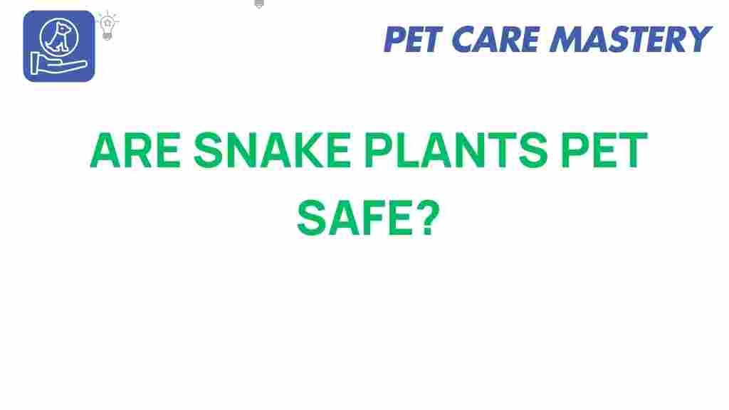 snake-plants-pet-safe