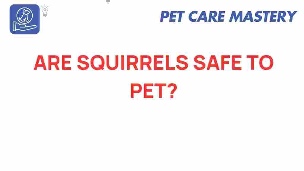 are-squirrels-safe-to-pet