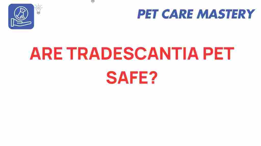 tradescantia-pet-safe