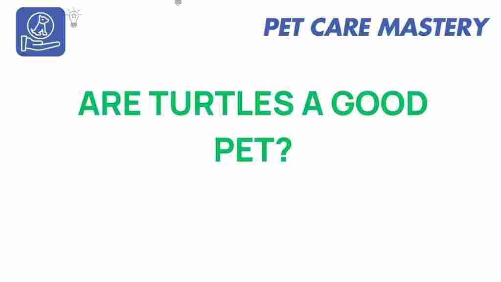 turtles-good-pet