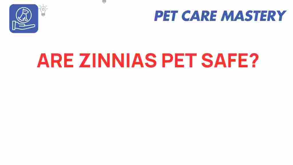 are-zinnias-pet-safe