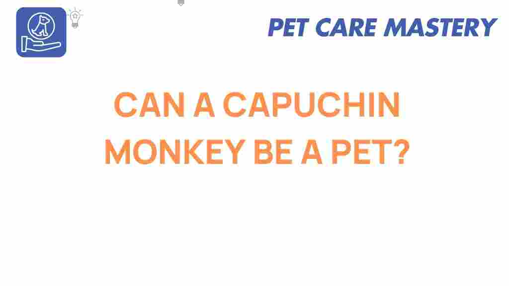 capuchin-monkey-pet-ownership