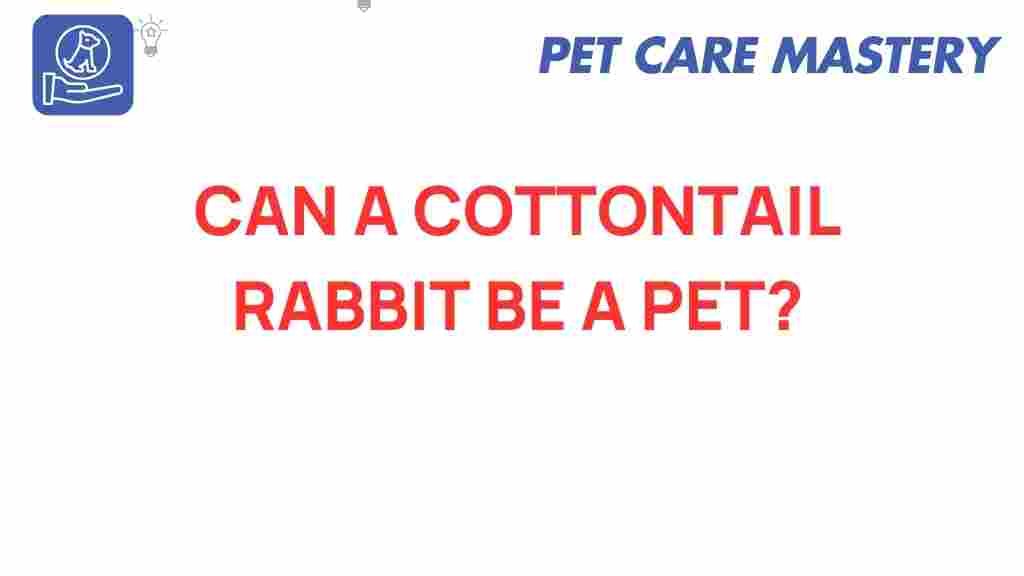 cottontail-rabbit-pet