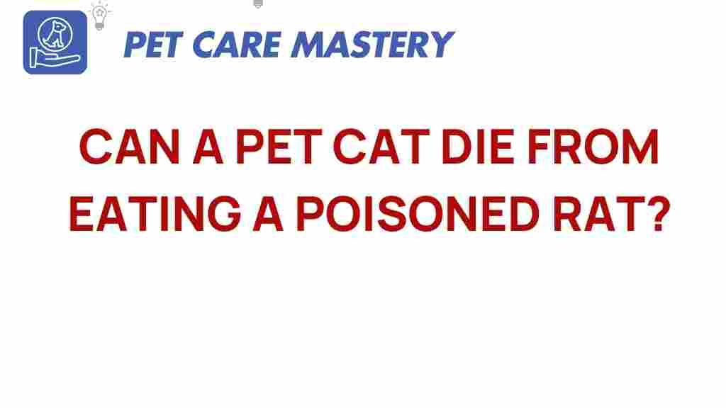can-cat-die-eating-poisoned-rat