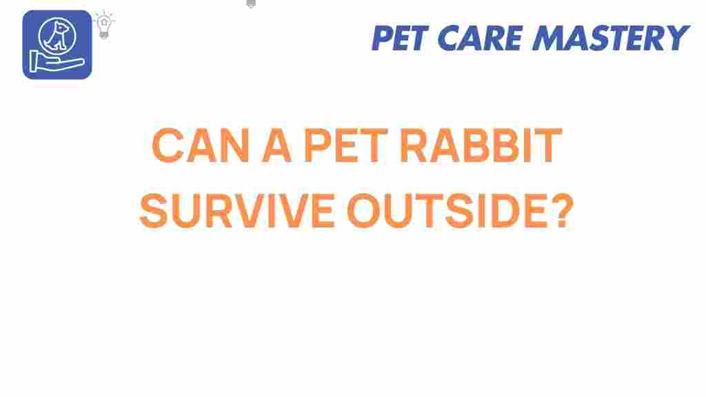 pet-rabbit-outdoor-survival