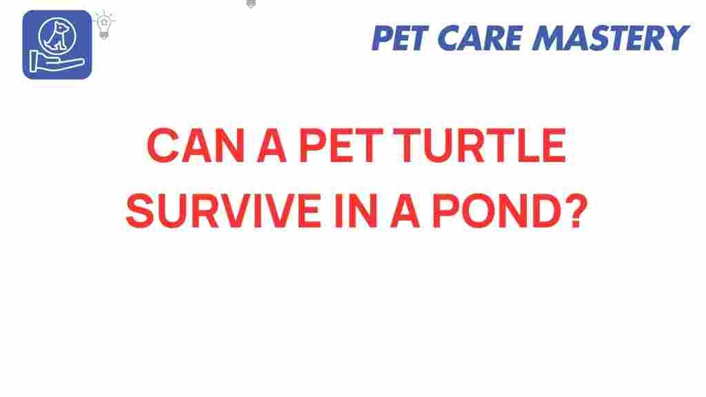 pet-turtle-survive-pond