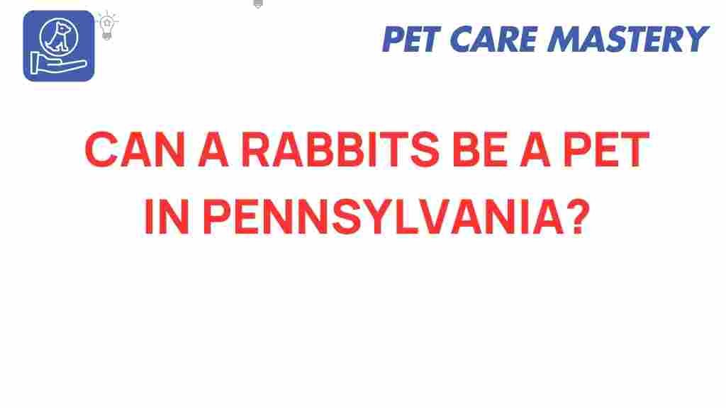 rabbits-pets-pennsylvania