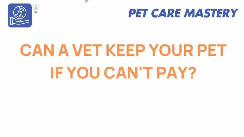 can-vet-keep-your-pet-if-you-cant-pay