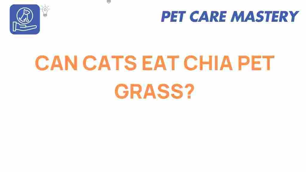 can-cats-eat-chia-pet-grass