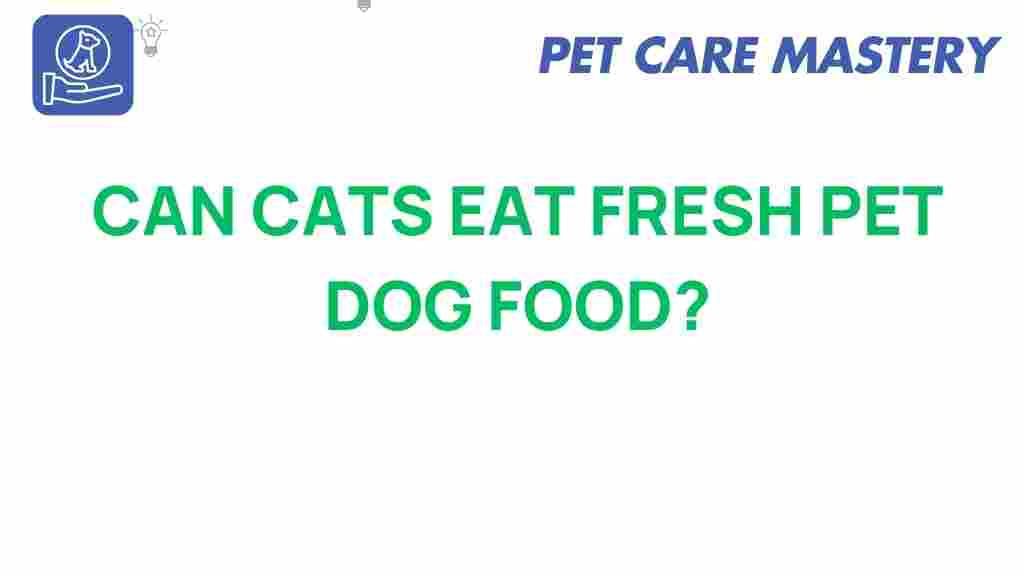 can-cats-eat-fresh-dog-food