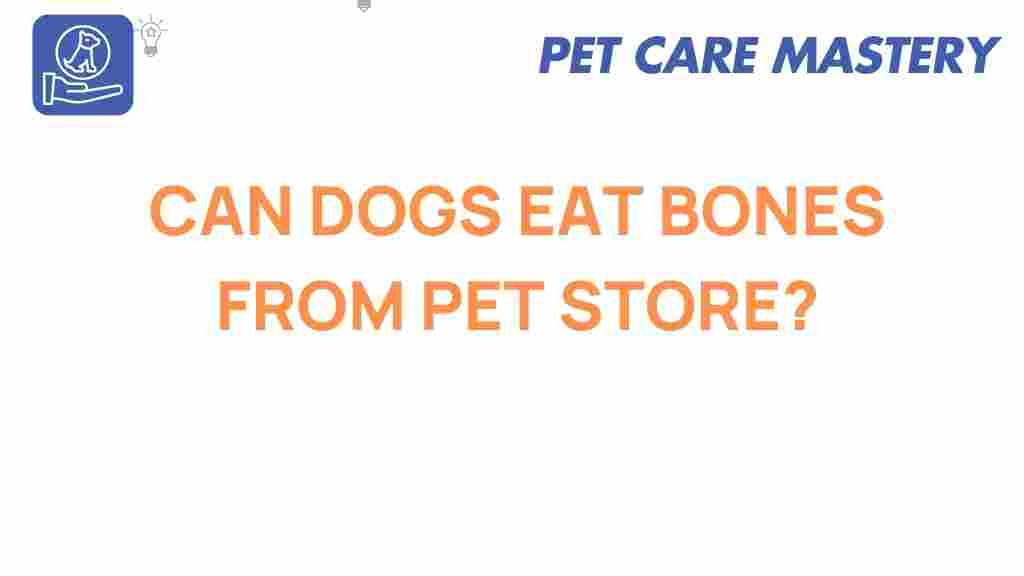 pet-store-bones-dog-safety