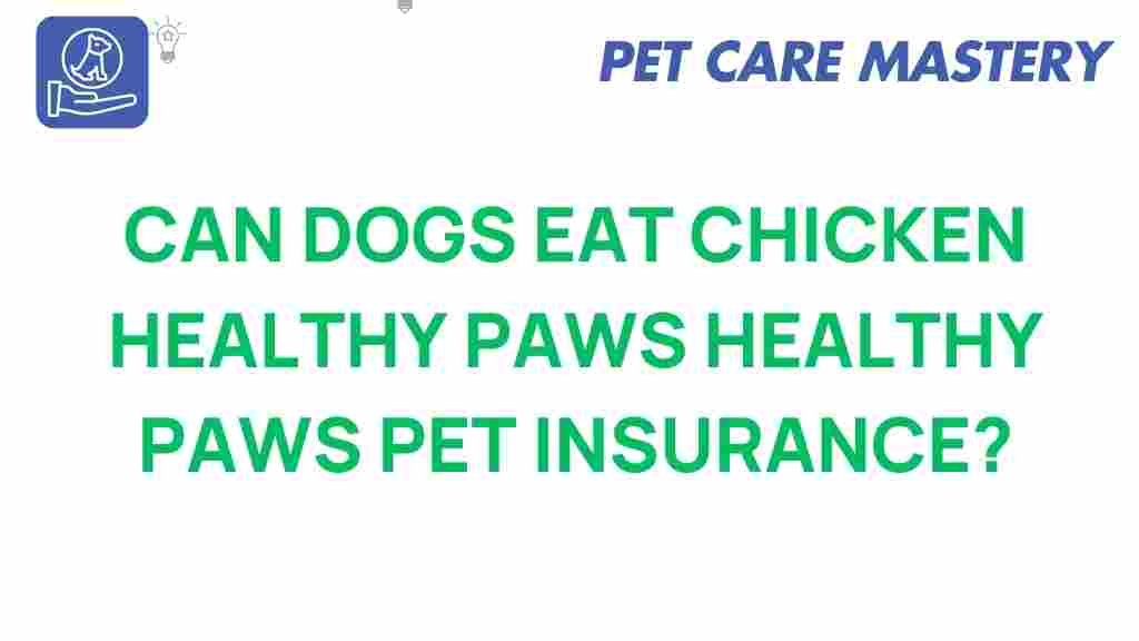 can-dogs-eat-chicken