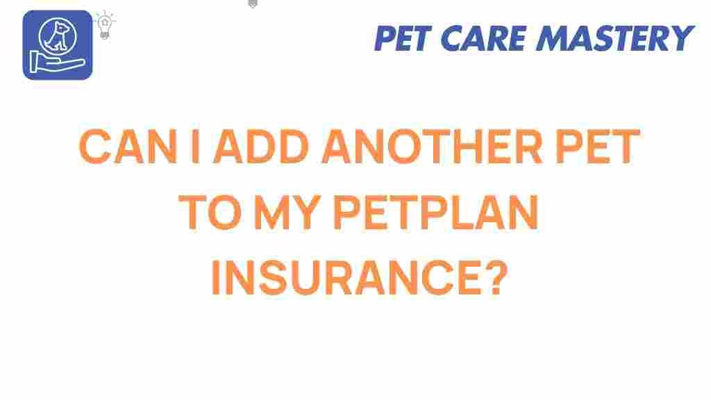 petplan-add-another-pet