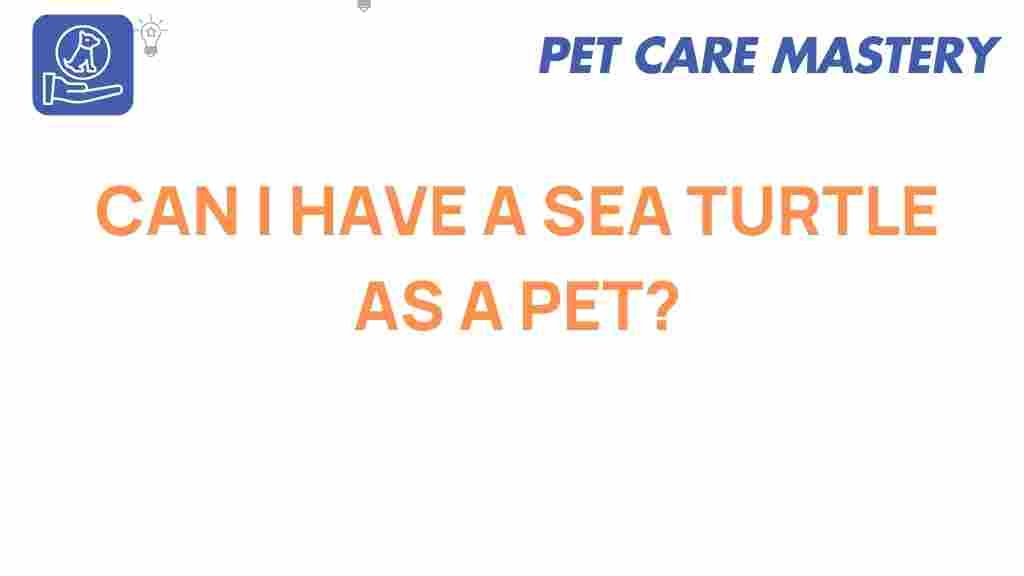 can-i-have-a-sea-turtle-as-a-pet