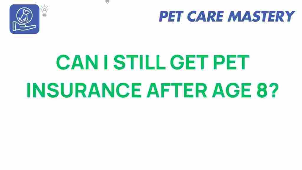 pet-insurance-senior-pets