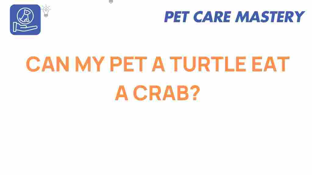 can-my-pet-turtle-eat-crab
