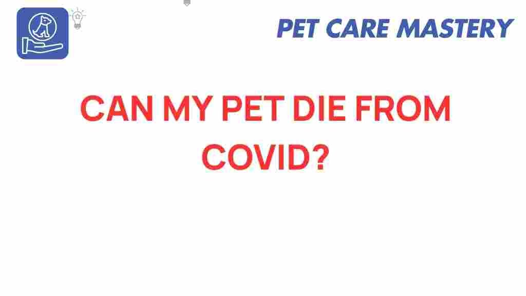 can-my-pet-die-from-covid