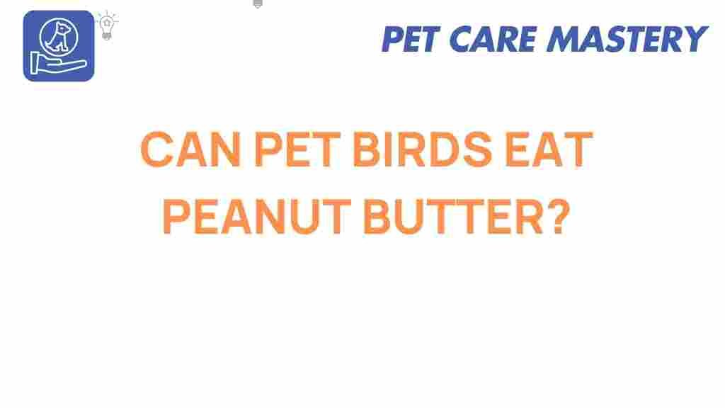 can-pet-birds-eat-peanut-butter