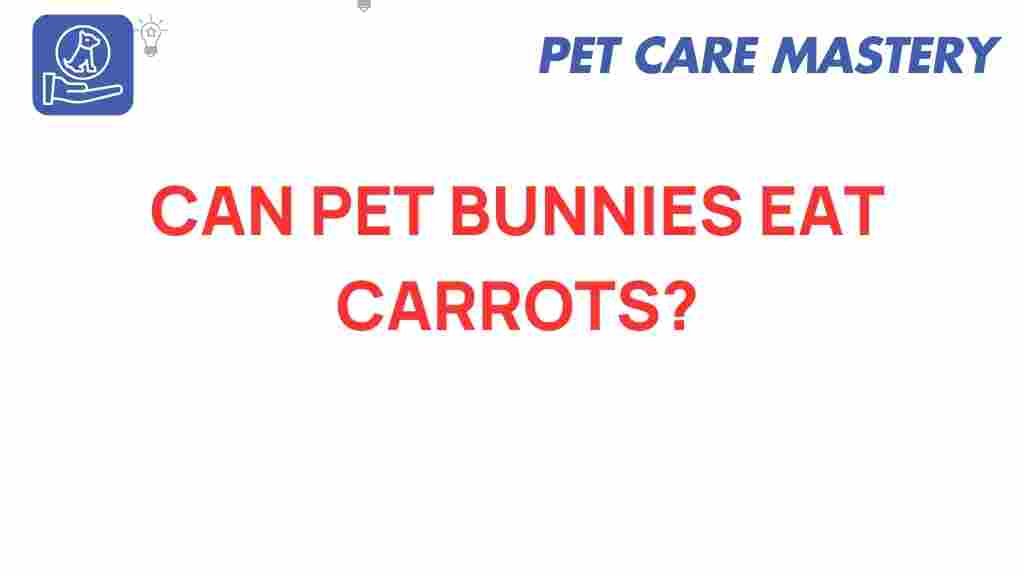 pet-bunnies-eat-carrots