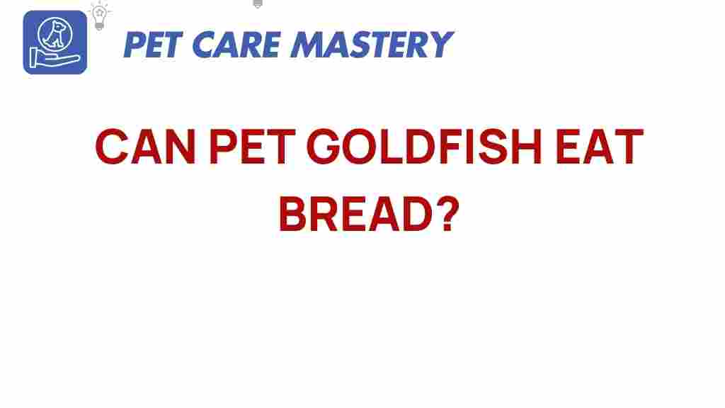 can-goldfish-eat-bread