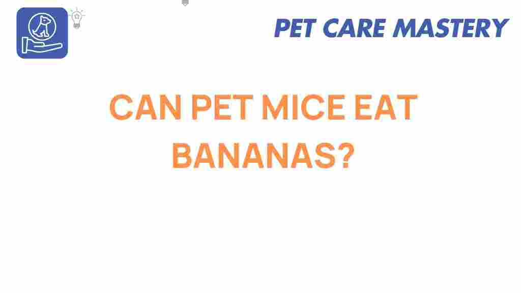 can-pet-mice-eat-bananas