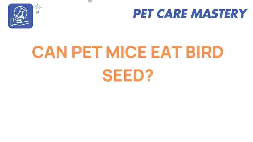 can-pet-mice-eat-bird-seed