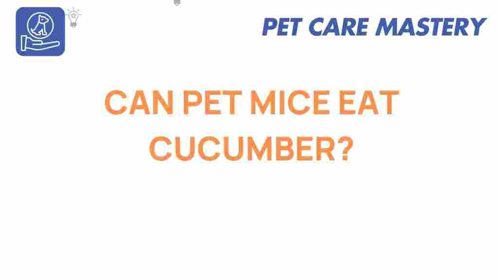 can-pet-mice-eat-cucumber