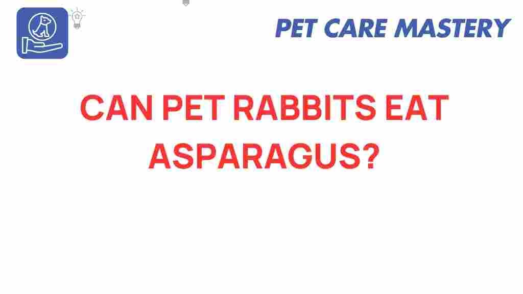 can-pet-rabbits-eat-asparagus