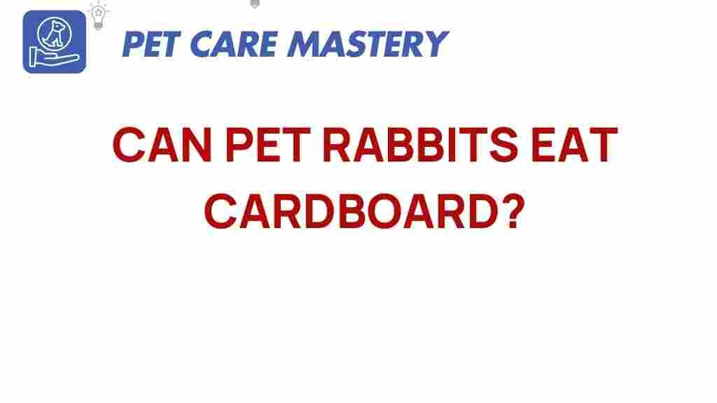 can-pet-rabbits-eat-cardboard