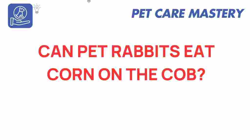 pet-rabbits-eat-corn-on-the-cob