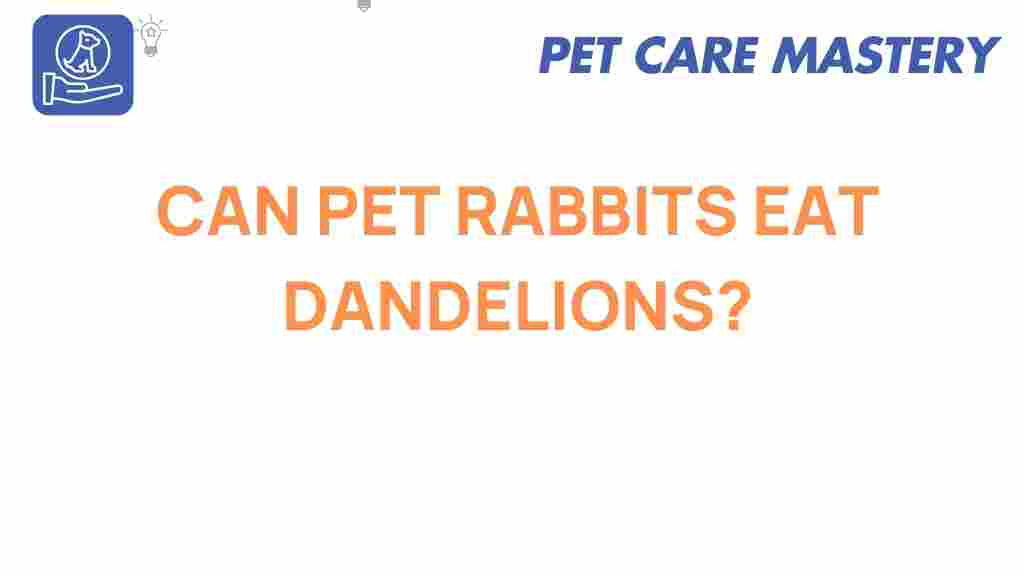 pet-rabbits-eat-dandelions