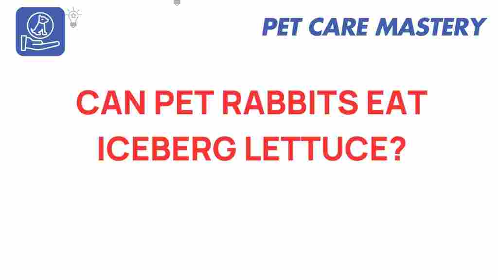can-rabbits-eat-iceberg-lettuce
